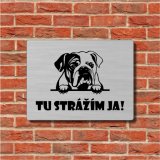 Tábla Vigyázz a kutya Angol bulldog