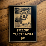 Vigyázz a kutya tábla saját fényképpel