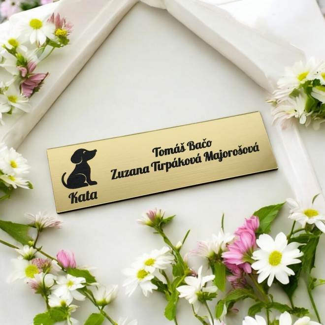 Ajtó névtábla Kutya névvel