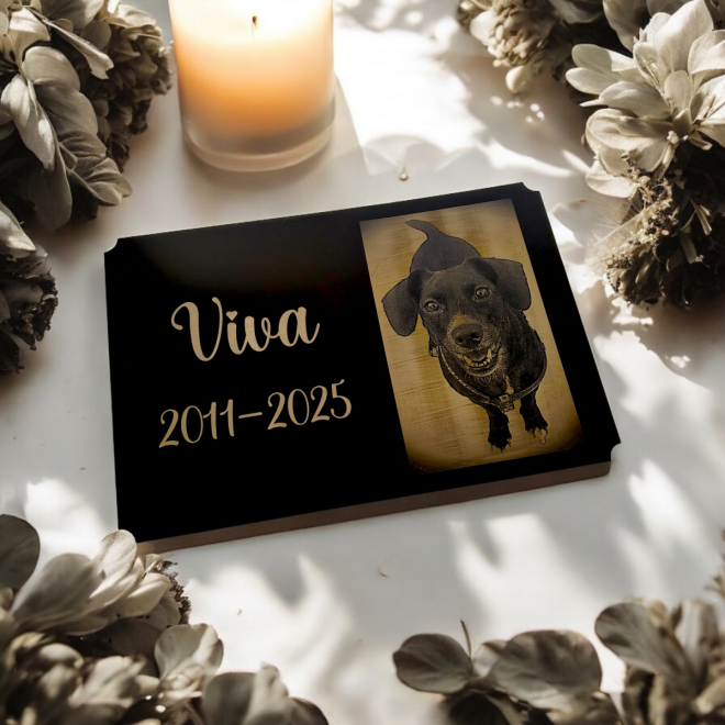Állat sírtábla V2