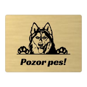 Tábla Vigyázat kutya Husky